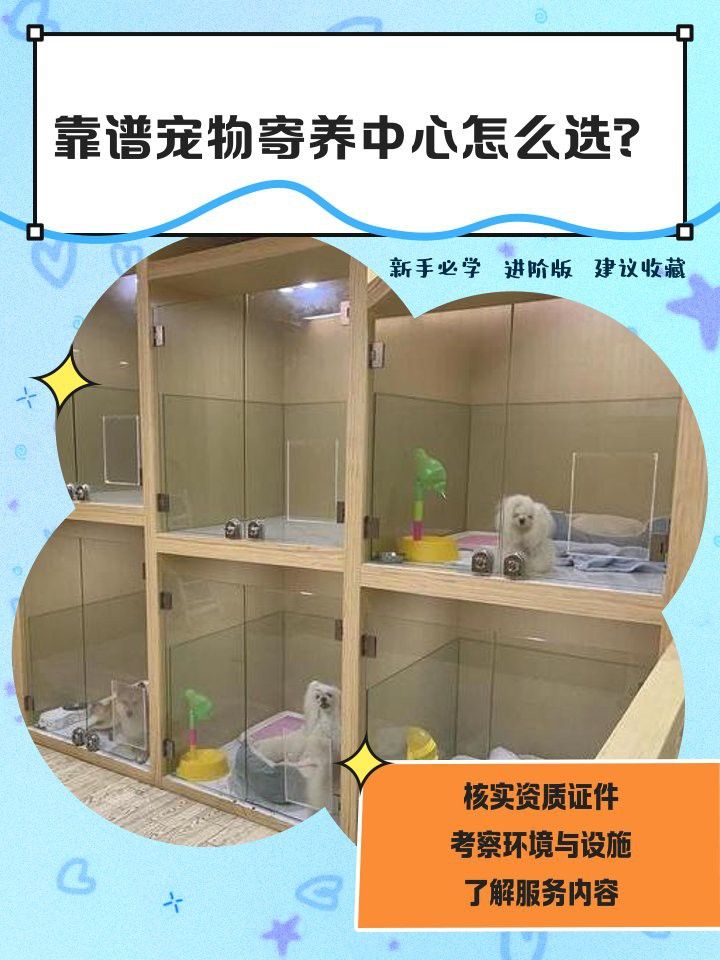 珠海龍魚寄養