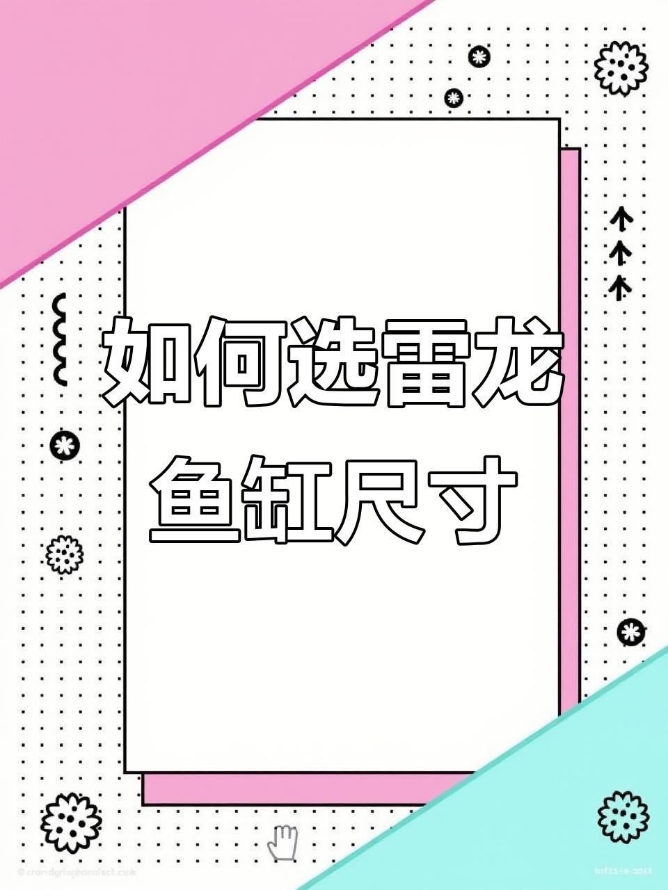 鬼王雷龍魚需要多大的魚缸？