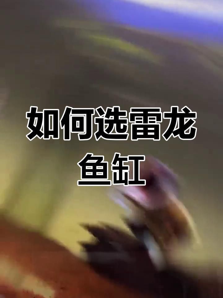 鬼王雷龍魚需要多大的魚缸？