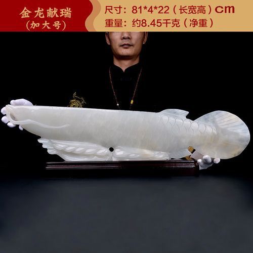 玉金龍魚圖片大全大圖視頻