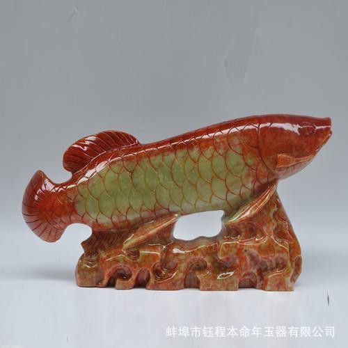 玉金龍魚圖片大全大圖視頻