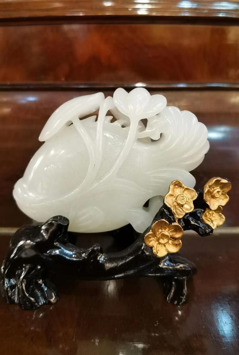 玉金龍魚圖片大全大圖視頻