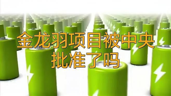 金龍羽未來幾年有哪些重要項目？