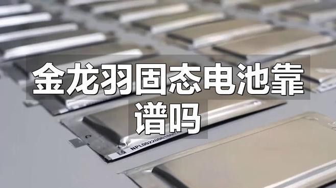 金龍羽未來幾年有哪些重要項目？