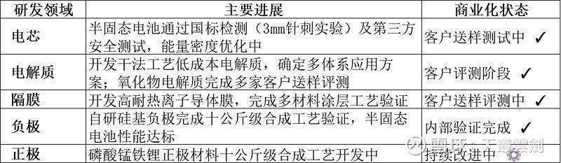 金龍羽未來幾年有哪些重要項目？