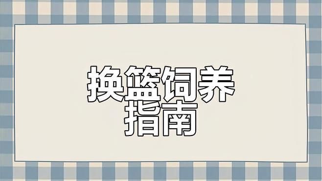 炫彩藍(lán)寶石雷龍魚