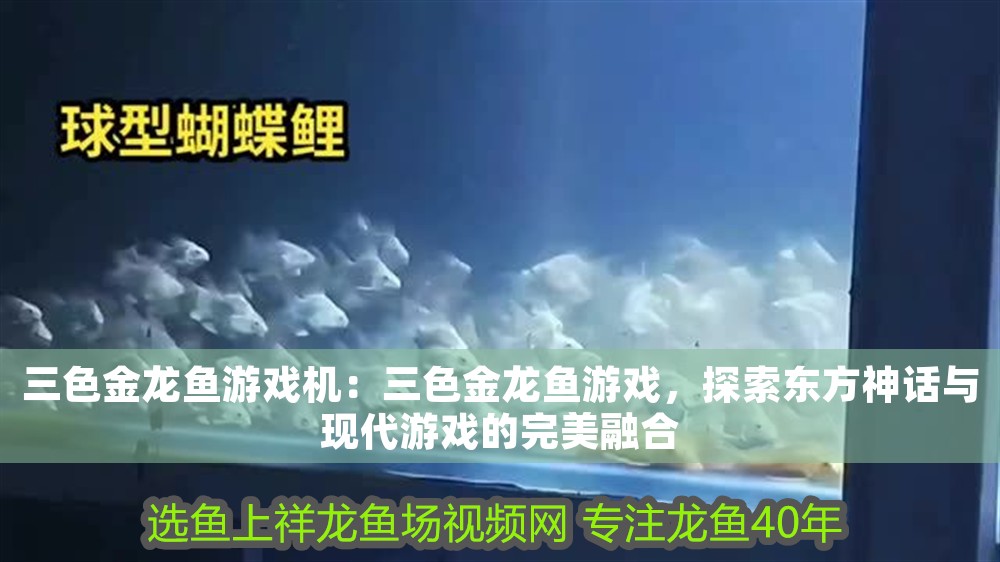 三色金龍魚游戲機：三色金龍魚游戲，探索東方神話與現代游戲的完美融合