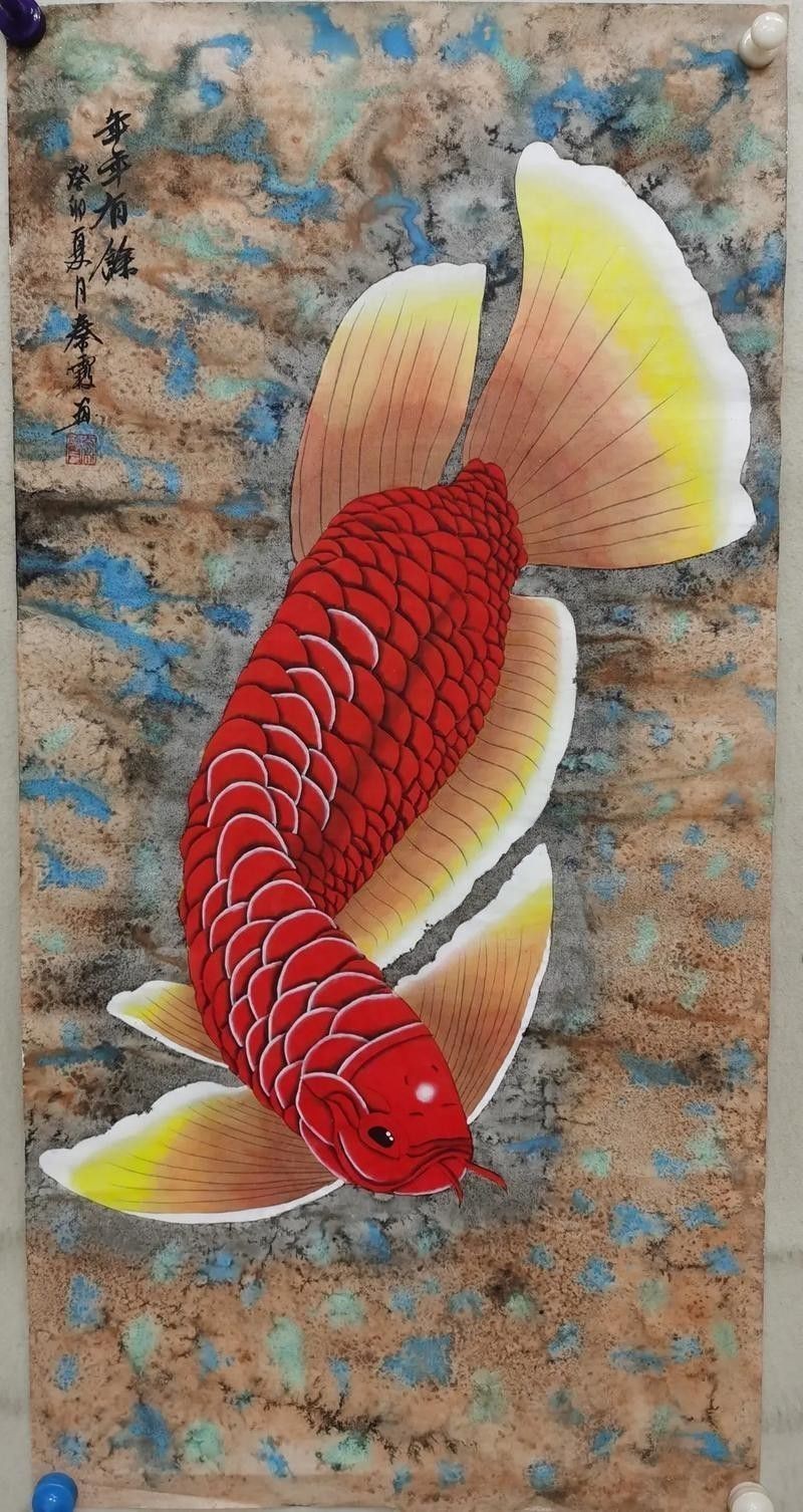 紅龍魚圖片壁紙可愛卡通