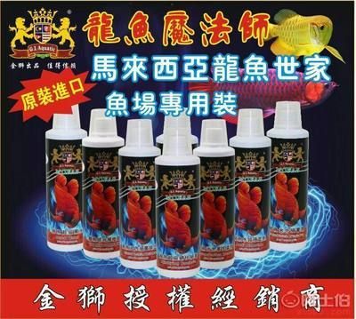 龍魚世家網站：龍魚世家水族館設計案例,