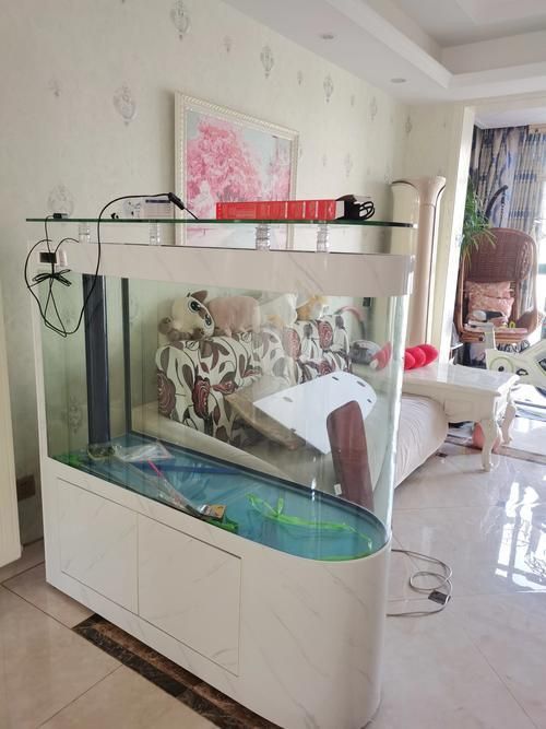 能提供幾張龍魚缸擺放圖片嗎？