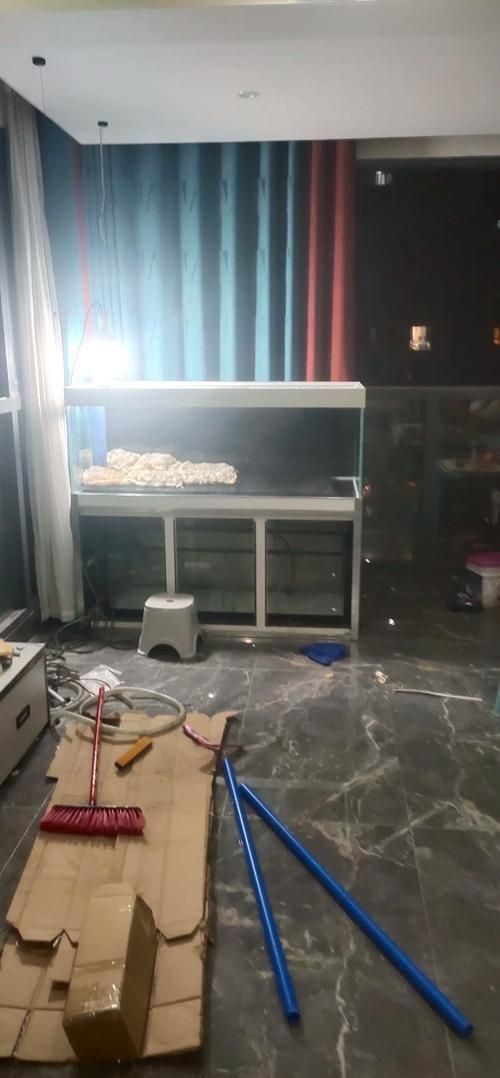 能提供幾張龍魚缸擺放圖片嗎？