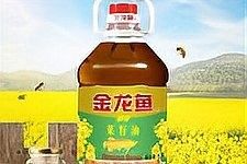 香港嘉銀的主要業(yè)務(wù)是什么？