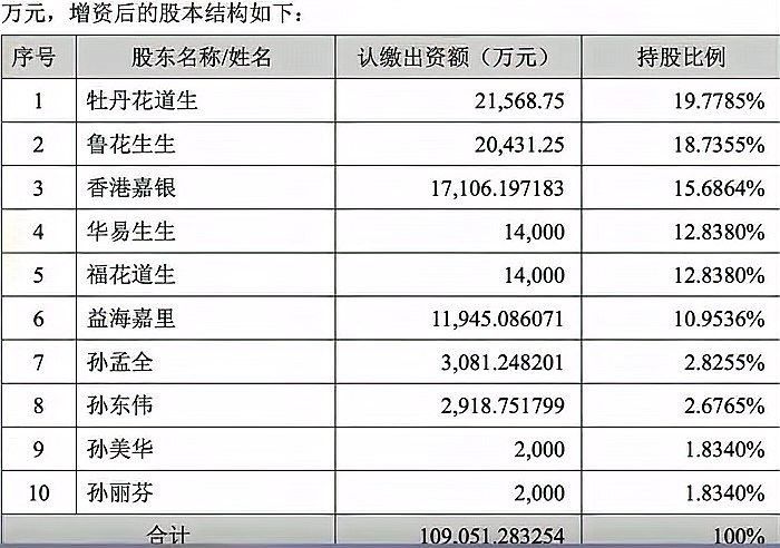 香港嘉銀的主要業(yè)務(wù)是什么？