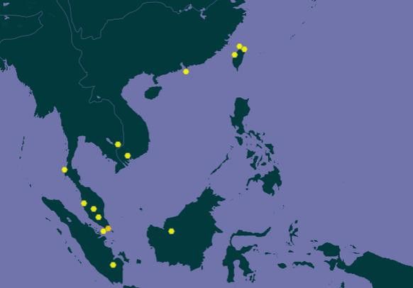 最大的金龍魚圖片欣賞 最大的金龍魚圖片欣賞 龍魚百科 第19張