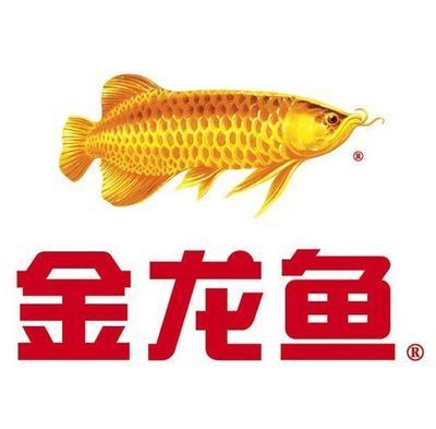 金龍魚logo設計：金龍魚logo設計的國際版本金龍魚logo設計的國際版本