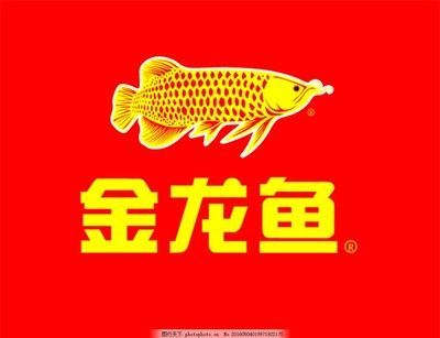 金龍魚logo設計：金龍魚logo設計的國際版本金龍魚logo設計的國際版本