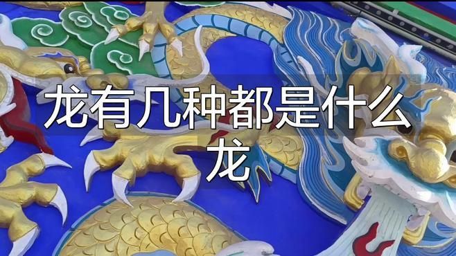 龍分幾種等級