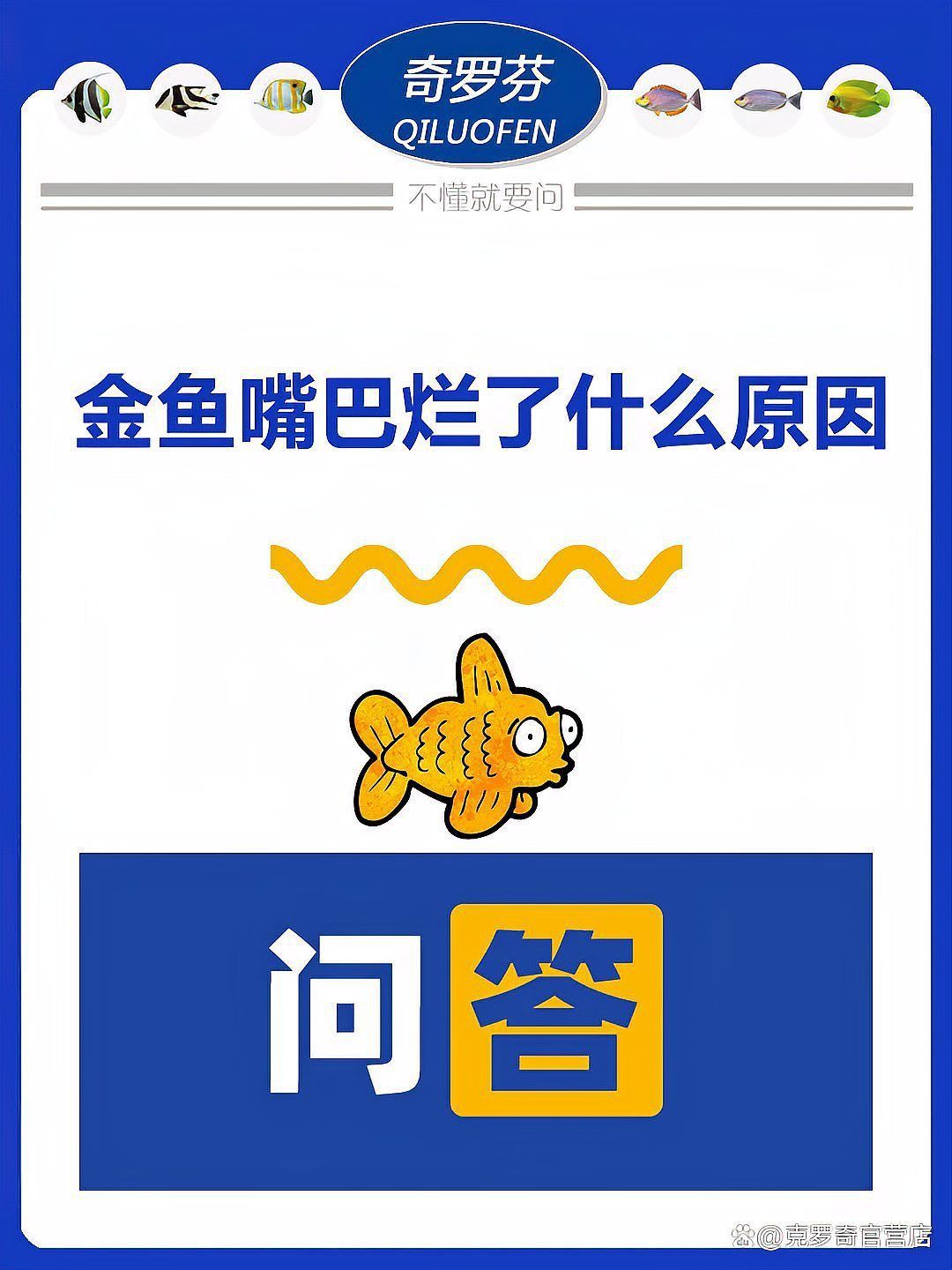 金龍魚嘴撞破了怎么處理