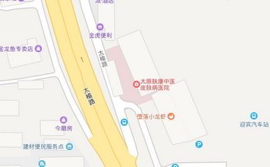 金龍魚皮膚病怎么治療：金龍魚皮膚病如何治療