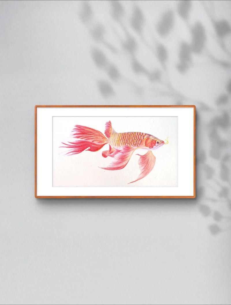 龍魚圖片 國畫大全