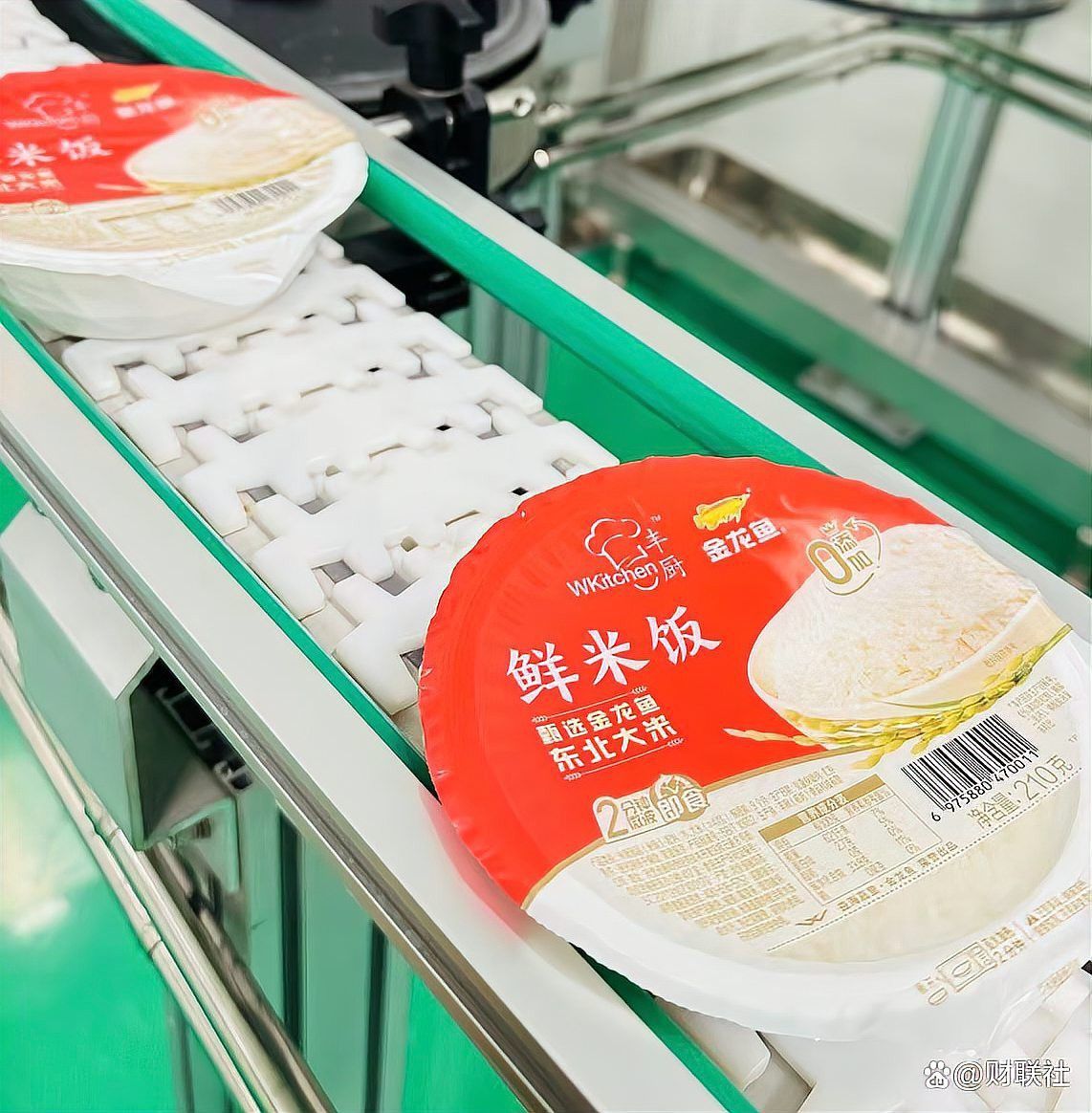 金龍魚全年銷售額多少錢