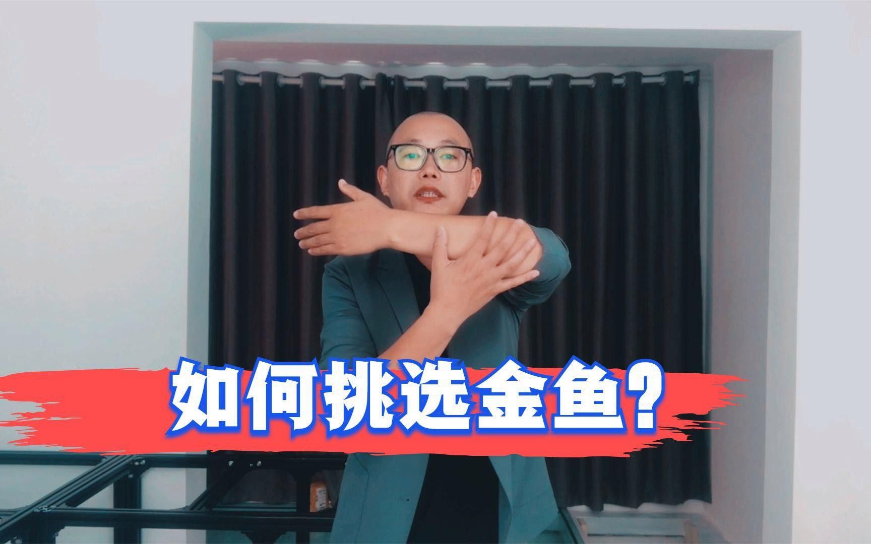如何挑選名品龍種金魚 如何挑選名品龍種金魚 龍魚百科 第11張