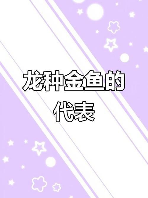 如何挑選名品龍種金魚 龍魚百科 第8張 如何挑選名品龍種金魚 如何挑選名品龍種金魚 龍魚百科 第8張