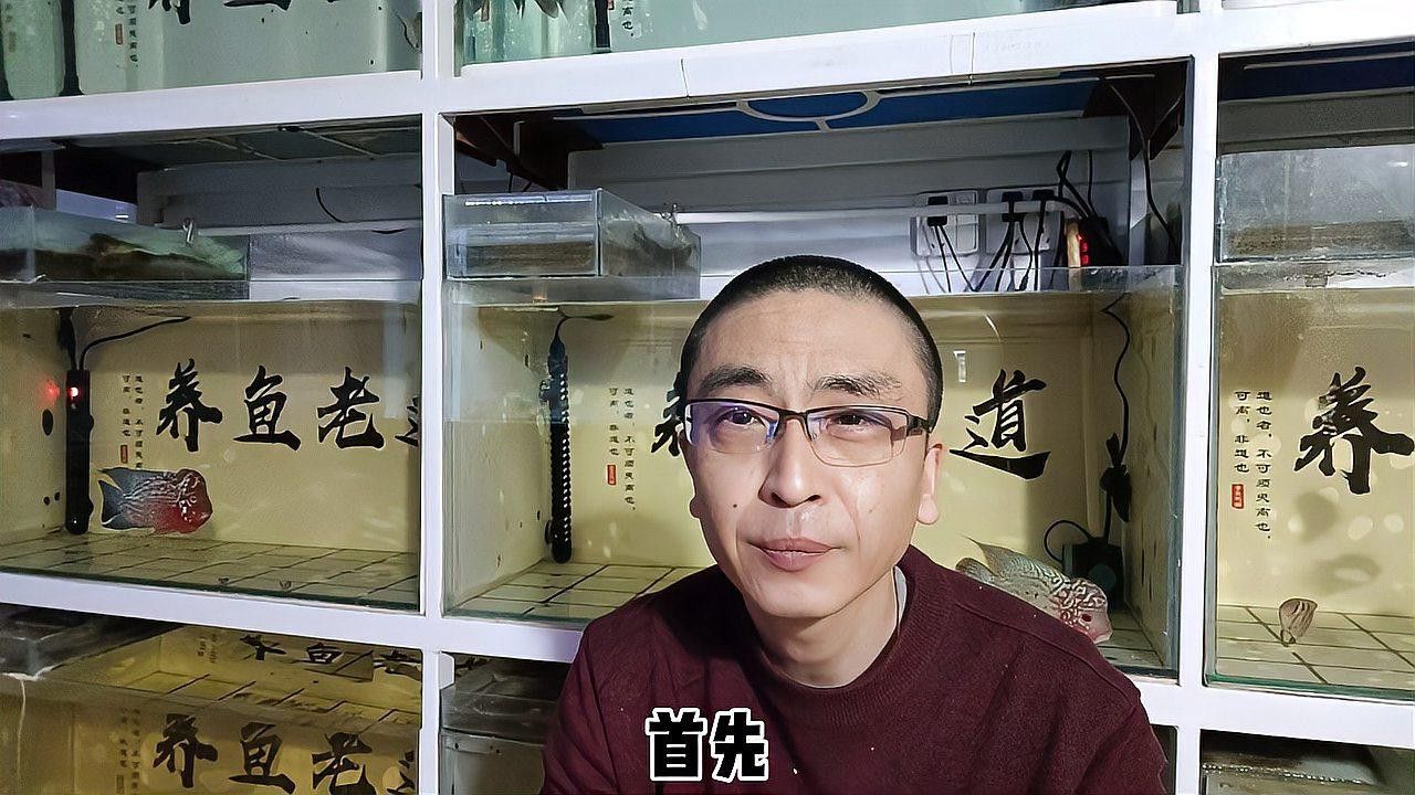 換水時(shí)如何保持水質(zhì)參數(shù)穩(wěn)定？ 換水時(shí)如何保持水質(zhì)參數(shù)穩(wěn)定？ 龍魚(yú)百科 第1張