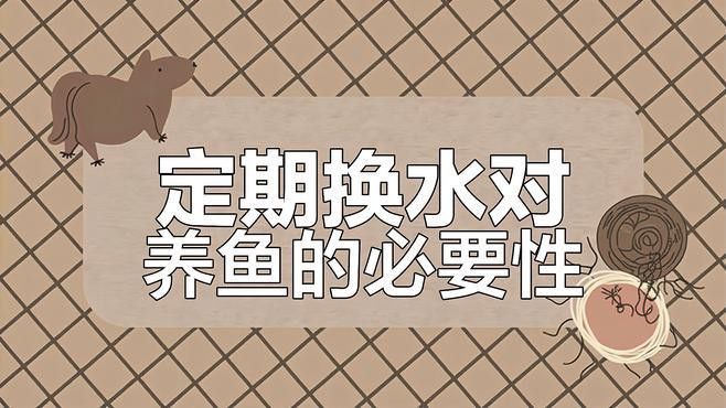 換水時(shí)如何保持水質(zhì)參數(shù)穩(wěn)定？ 換水時(shí)如何保持水質(zhì)參數(shù)穩(wěn)定？ 龍魚(yú)百科 第3張
