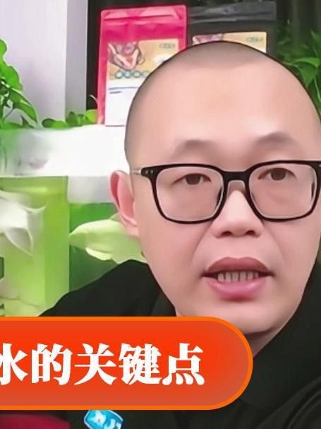 換水時(shí)如何保持水質(zhì)參數(shù)穩(wěn)定？ 換水時(shí)如何保持水質(zhì)參數(shù)穩(wěn)定？ 龍魚(yú)百科 第2張