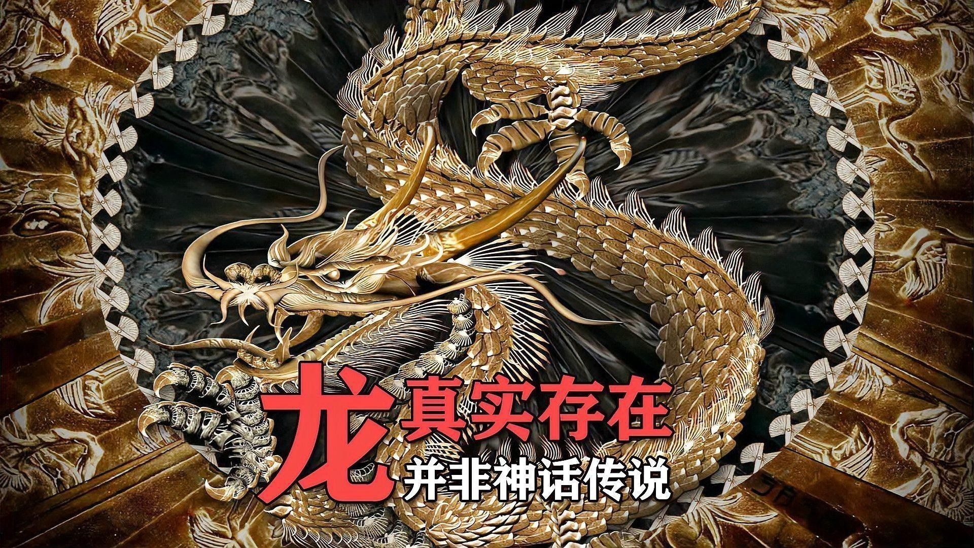 能否提供更多關于龍的神話傳說？