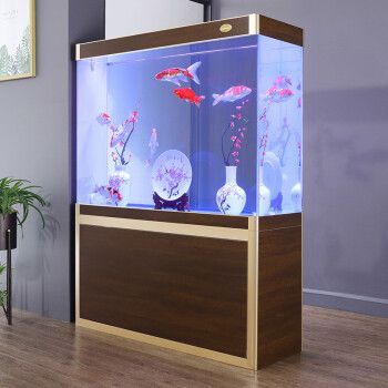 2024龍魚缸十大品牌排行榜_龍魚缸什么牌子好：2024年最好的龍魚缸排名