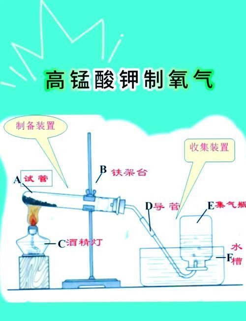 龍魚殺菌后如何消毒魚缸