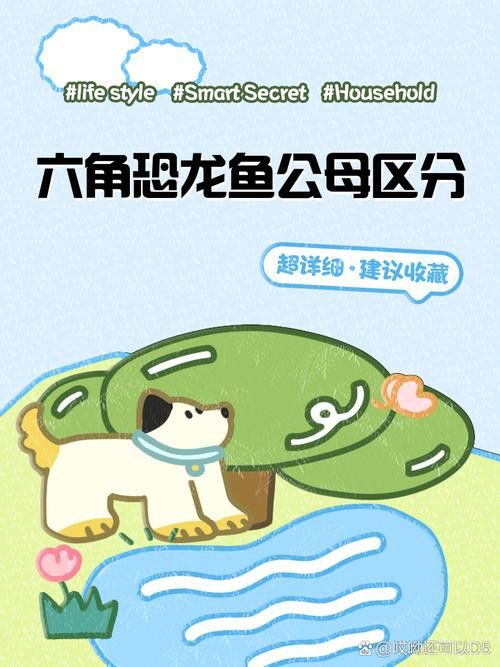 恐龍魚長大是什么樣的圖片大全視頻播放