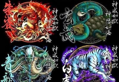 龍魚混養(yǎng)四大神獸一般養(yǎng)幾只（龍魚混養(yǎng)四大神獸一般建議養(yǎng)2-4只）
