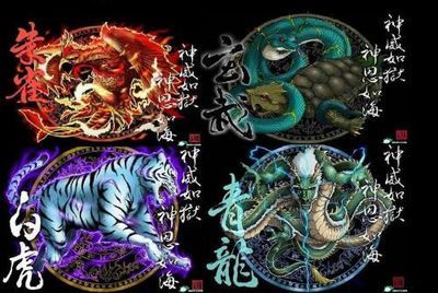 龍魚混養四大神獸一般養幾只（龍魚混養四大神獸一般建議養2-4只）