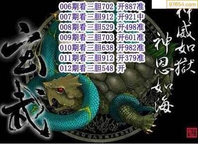 龍魚混養(yǎng)四大神獸一般養(yǎng)幾只（龍魚混養(yǎng)四大神獸一般建議養(yǎng)2-4只）