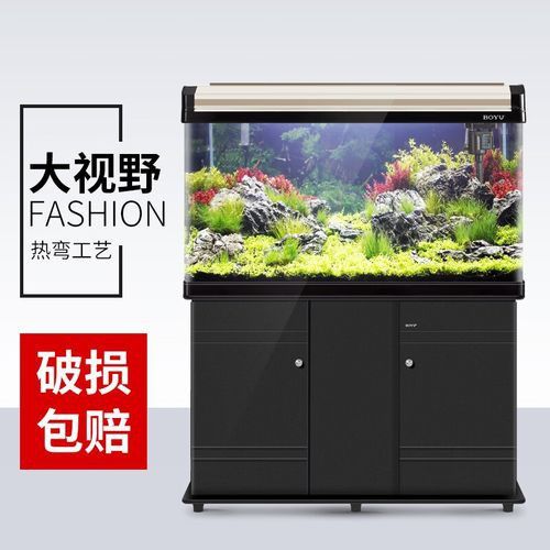 推薦一些價格適中的龍魚缸品牌