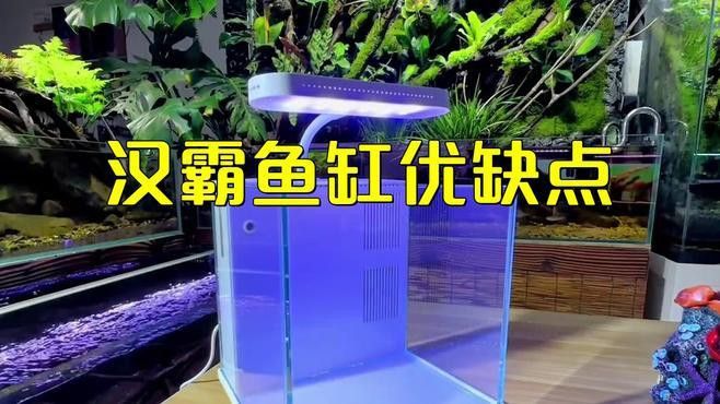 推薦一些價格適中的龍魚缸品牌