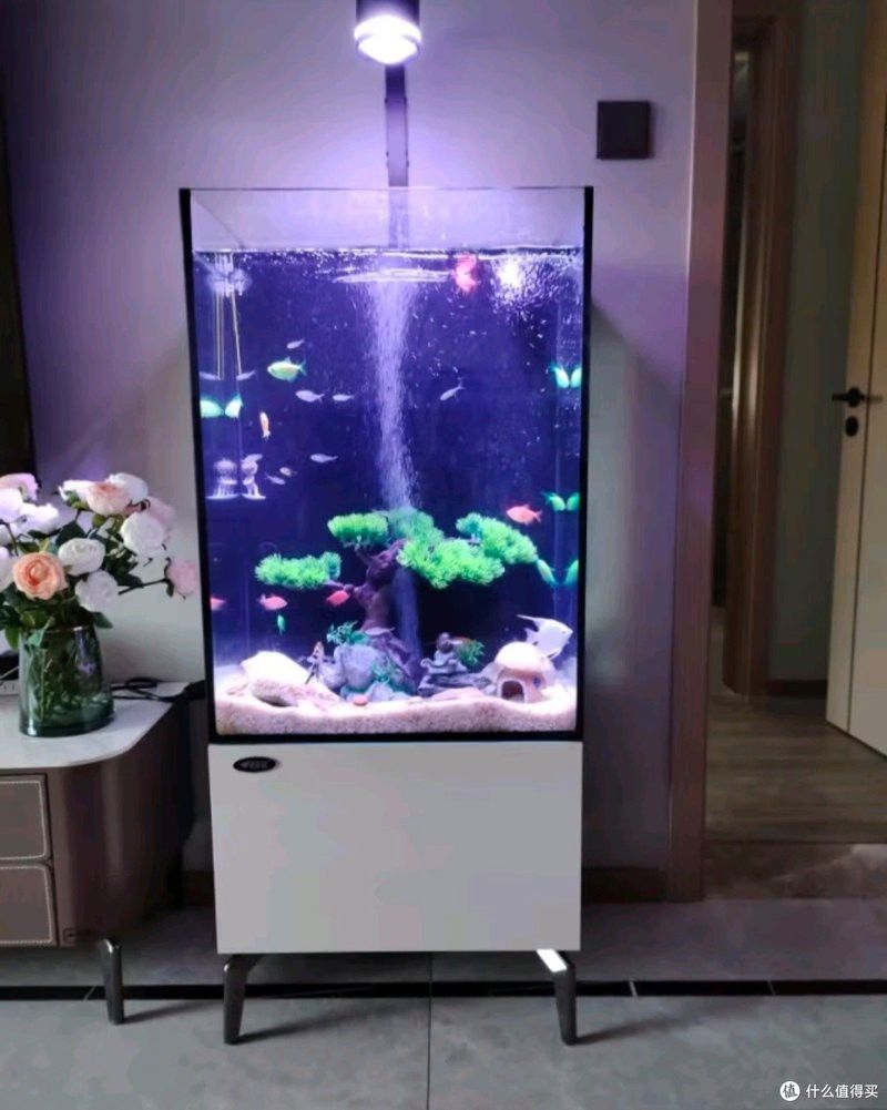推薦一些價格適中的龍魚缸品牌