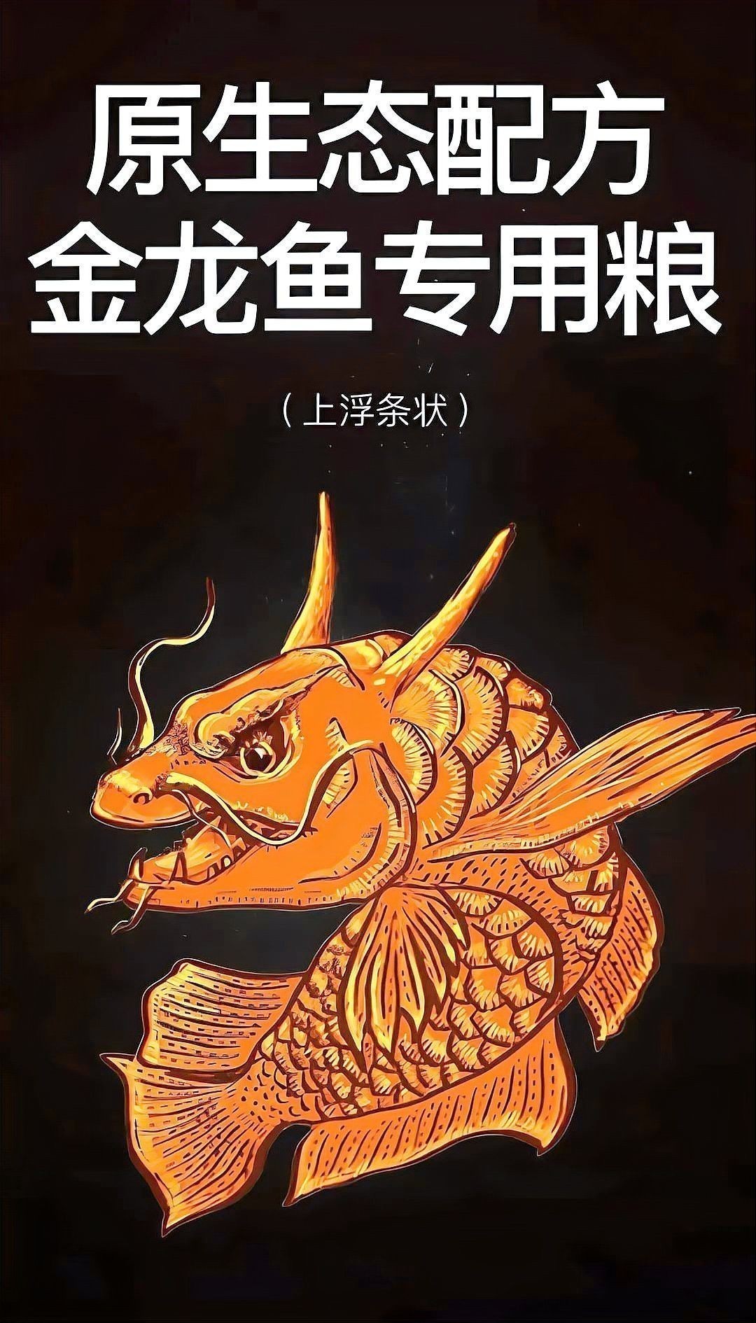 金龍魚可以活多長時間