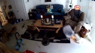 朋友圈發(fā)龍魚怎么說話幽默：如何發(fā)一條關(guān)于龍魚的朋友圈的幽默句子，讓您的朋友們心一笑