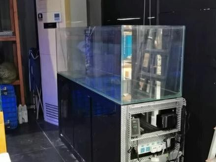 龍魚缸改海水缸怎么改