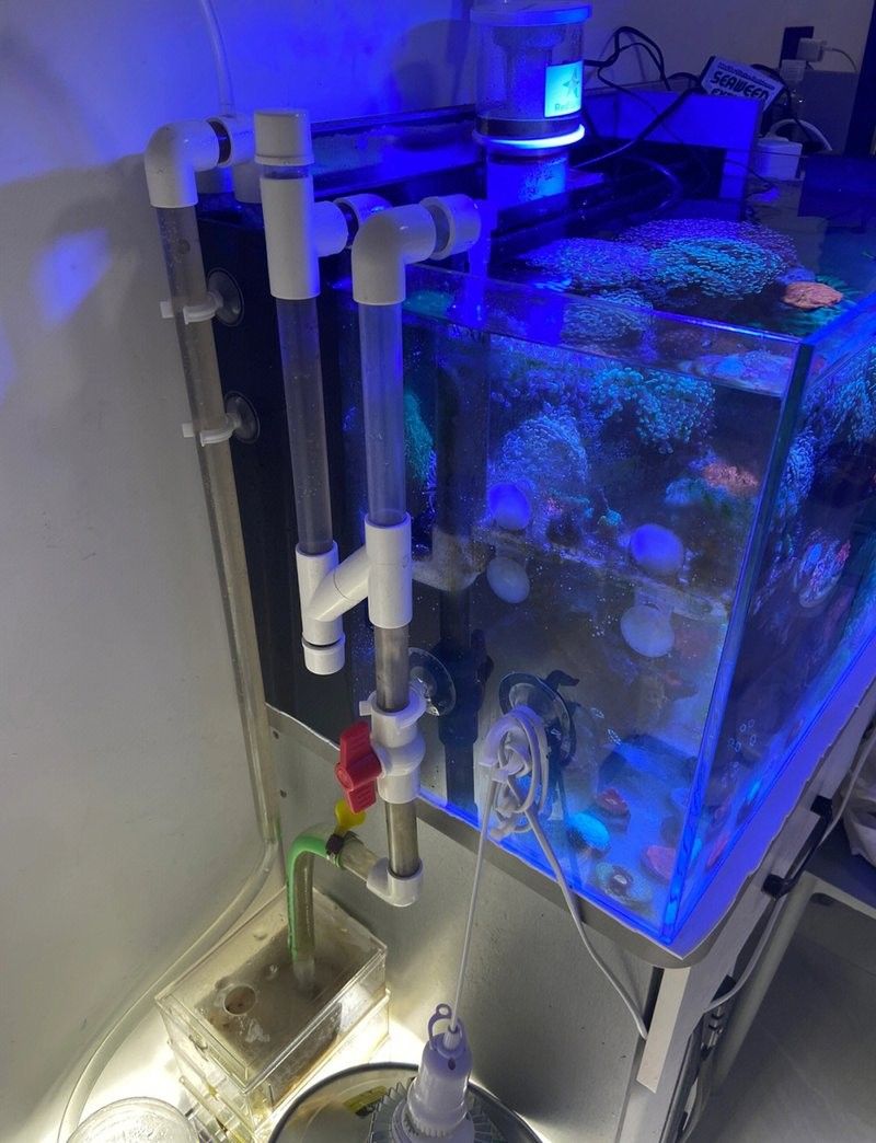龍魚缸改海水缸怎么改
