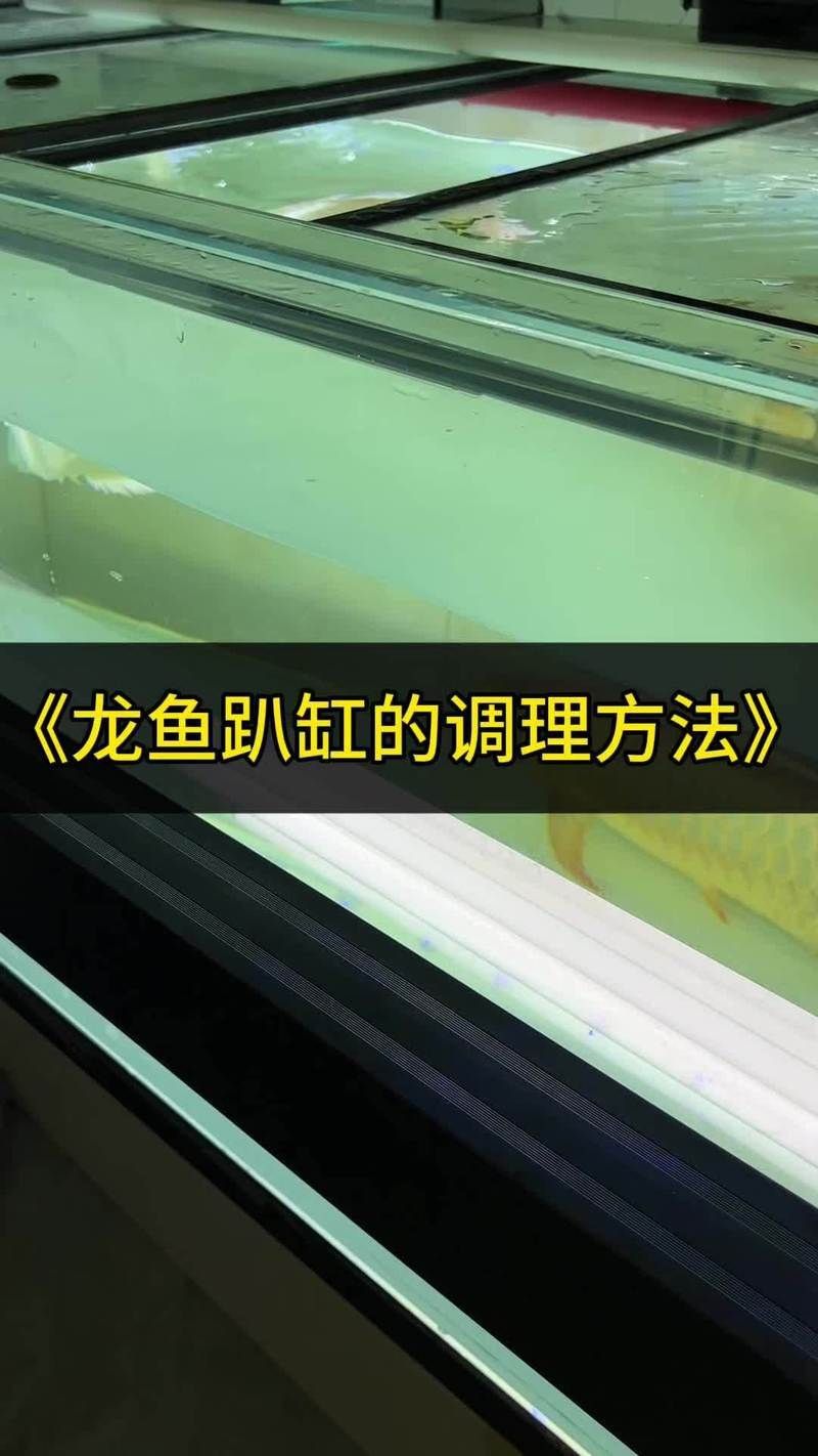 龍魚趴缸不動能自愈嗎？