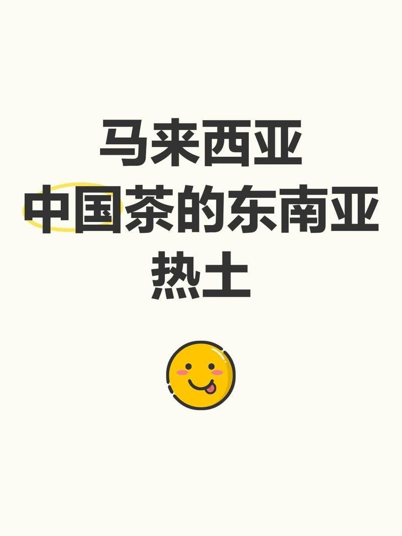 馬來西亞小紅龍屬于什么檔次