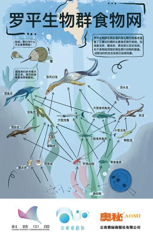 云南龍魚的特點介紹