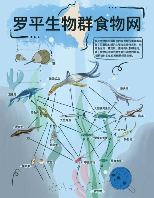 云南龍魚的特點介紹