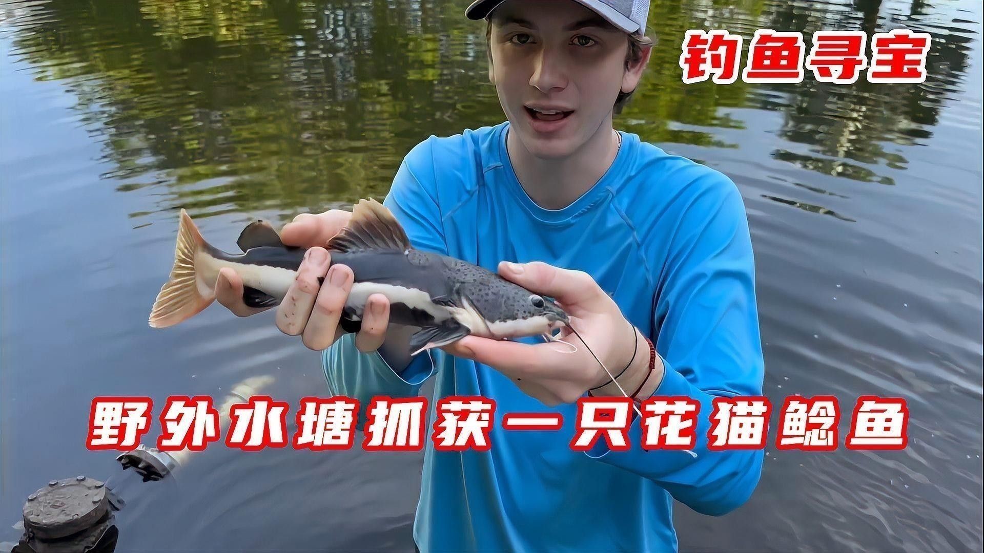 雷龍魚能養到多大