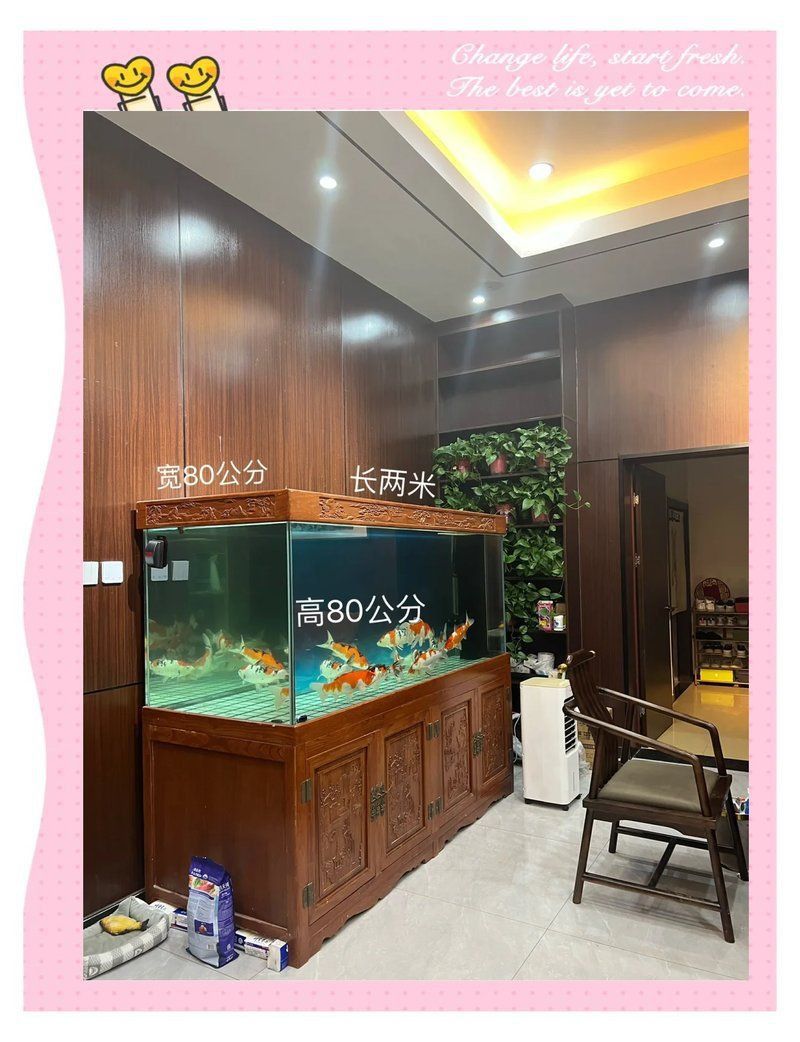 進門看見魚缸最佳位置